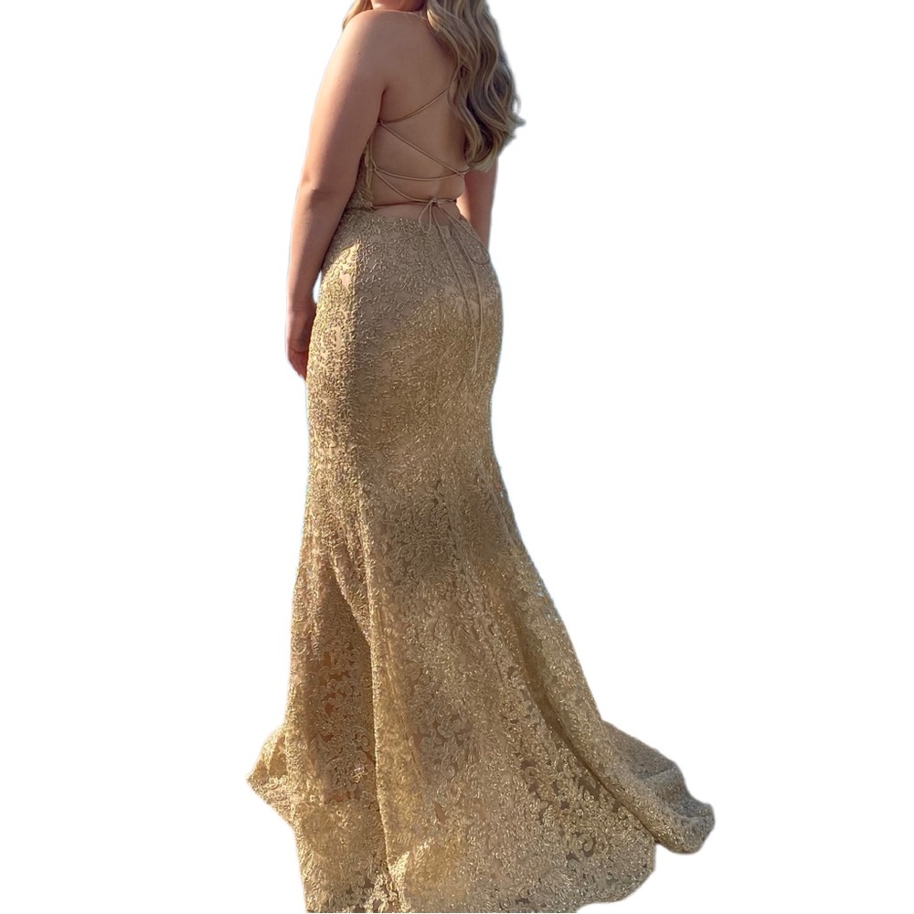 Mermaid Embroidered Lace Gold Prom and Formal dress